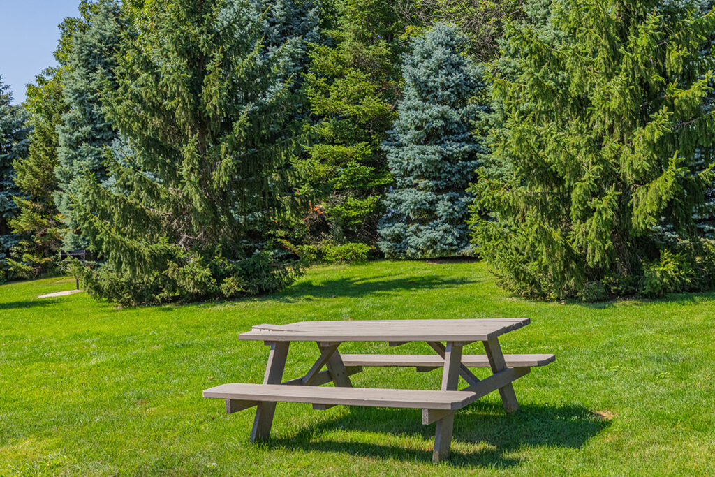 Laurel Ridge picnic area with wooden picnic tables and mature trees for added privacy.